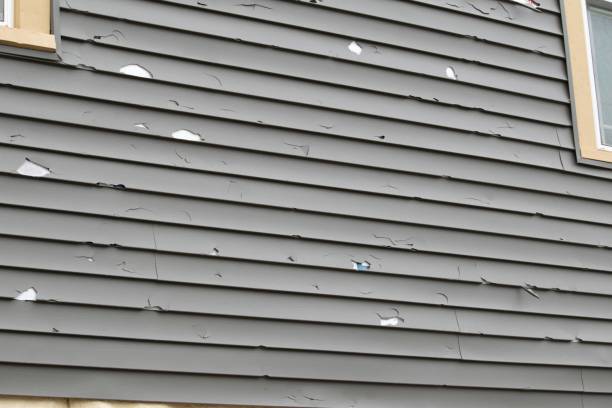 Eton, GA Siding Installation & Repair Company